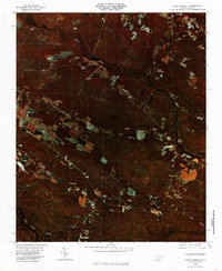 Point Caswell 1980 topographic map thumbnail