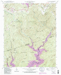Reid 1946 topographic map thumbnail