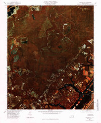 Scotts Hill 1980 topographic map thumbnail