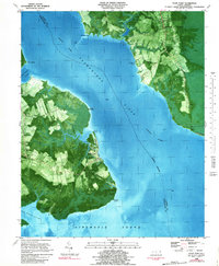Wade Point 1982 topographic map thumbnail