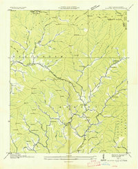 McDaniel Bald 1934 topographic map thumbnail
