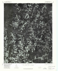 Middleburg 1977 topographic map thumbnail