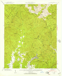 Montreat 1942 topographic map thumbnail