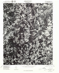 Belews Creek 1977 topographic map thumbnail