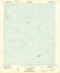 Brant Island topographic map thumbnail