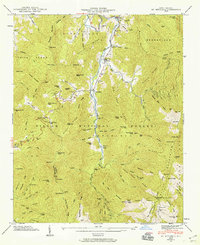 Mt. Mitchell 1946 topographic map thumbnail
