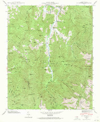 Mt. Mitchell 1946 topographic map thumbnail
