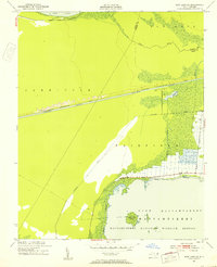 New Lake SE 1951 topographic map thumbnail