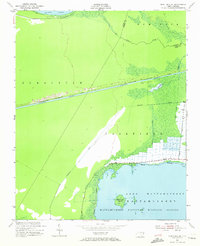 New Lake SE 1951 topographic map thumbnail