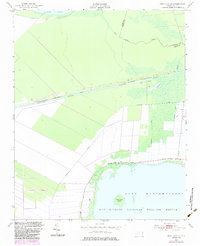 New Lake SE 1951 topographic map thumbnail