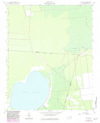 New Lake 1954 topographic map thumbnail