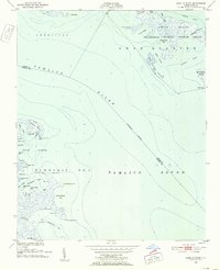 Pamlico Point 1951 topographic map thumbnail