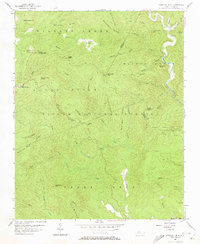 Chestnut Mtn. 1956 topographic map thumbnail