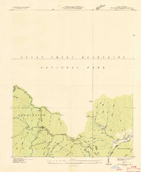 Bunches Bald 1936 topographic map thumbnail