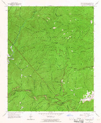 Bunches Bald 1964 topographic map thumbnail