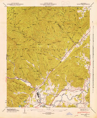 Pisgah Forest 1946 topographic map thumbnail