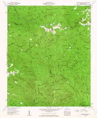 Rainbow Springs 1957 topographic map thumbnail