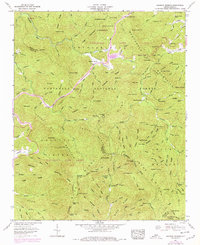 Rainbow Springs 1957 topographic map thumbnail