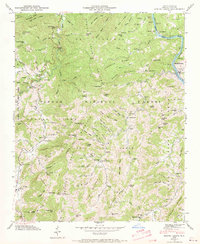 Spring Creek 1946 topographic map thumbnail