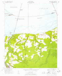 Roper North 1954 topographic map thumbnail