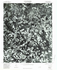 Sanford 1980 topographic map thumbnail