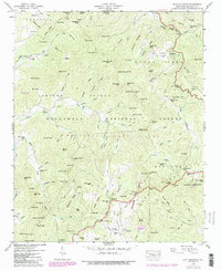 Scaly Mountain 1946 topographic map thumbnail