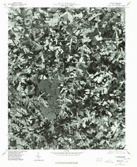 Waco 1976 topographic map thumbnail