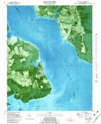 Wade Point 1982 topographic map preview