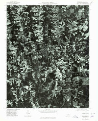 Warrenton 1977 topographic map thumbnail