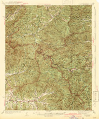 Wayah Bald 1942 topographic map thumbnail