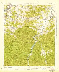 Waynesville 1942 topographic map thumbnail