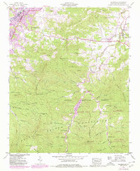 Waynesville 1941 topographic map thumbnail