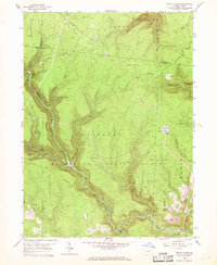 Devils Elbow 1959 topographic map thumbnail