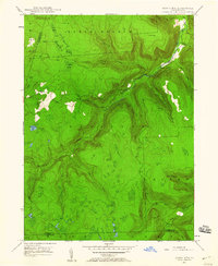 Dutch Mtn 1946 topographic map thumbnail