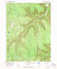 Dutch Mtn 1946 topographic map thumbnail