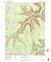 Dutch Mtn 1946 topographic map thumbnail