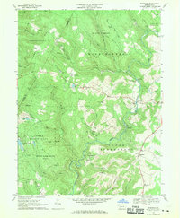 Kingwood 1967 topographic map thumbnail