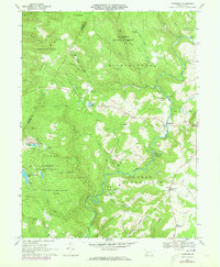 Kingwood 1967 topographic map thumbnail