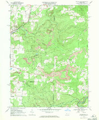 Mc Gees Mills topographic map thumbnail
