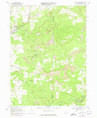 Mc Gees Mills 1968 topographic map thumbnail