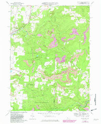 Mc Gees Mills 1968 topographic map thumbnail