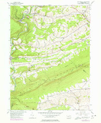 New Ringgold 1956 topographic map thumbnail