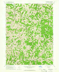 New Freeport 1964 topographic map thumbnail