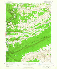 New Ringgold 1956 topographic map thumbnail