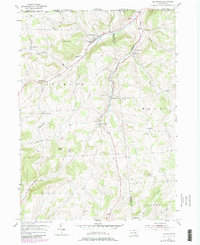 Millerton 1954 topographic map preview