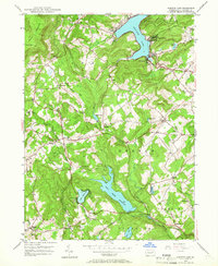 Harveys Lake 1946 topographic map thumbnail