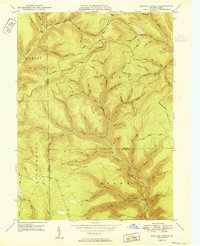 Lee Fire Tower 1950 topographic map thumbnail