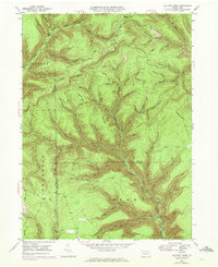 Lee Fire Tower 1947 topographic map thumbnail