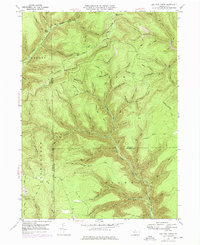 Lee Fire Tower 1947 topographic map thumbnail