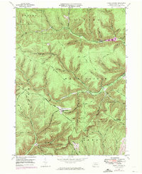 Cherry Springs 1947 topographic map thumbnail